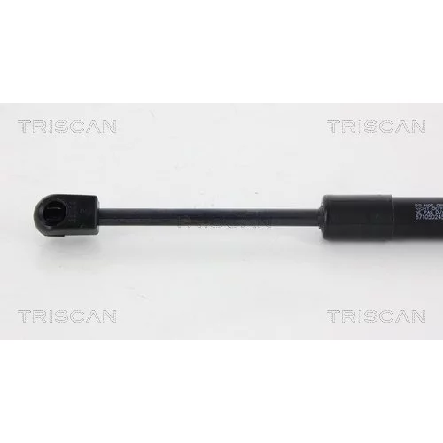 Pneumatická pružina, Batožinový/nákladný priestor 8710 50245 /TRISCAN/ - obr. 2