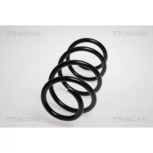 Pružina podvozku TRISCAN 8750 15125
