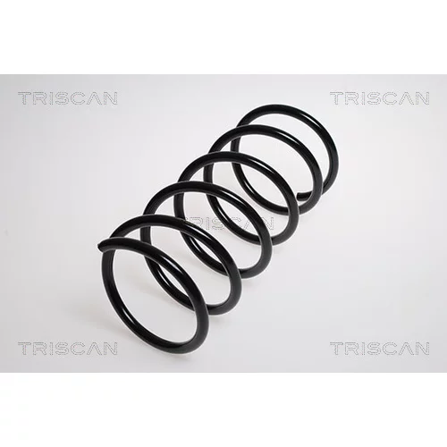 Pružina podvozku TRISCAN 8750 16053