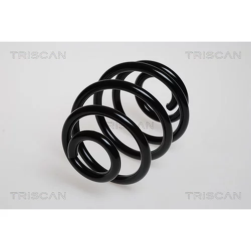 Pružina podvozku TRISCAN 8750 1676
