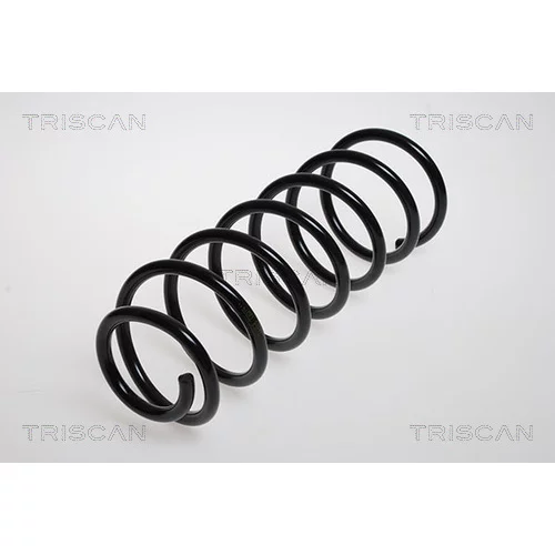 Pružina podvozku TRISCAN 8750 2102