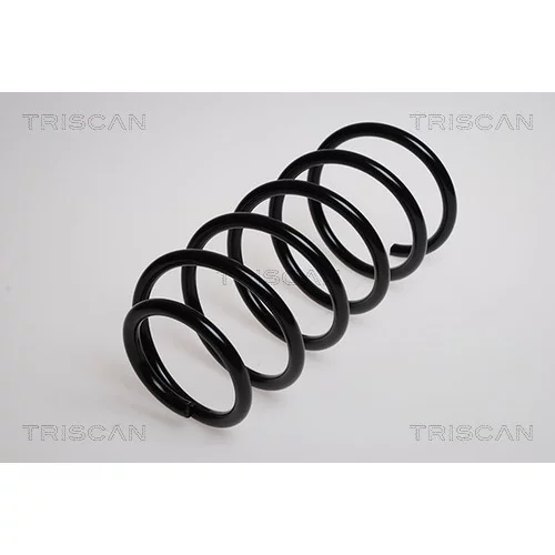 Pružina podvozku 8750 29109 /TRISCAN/