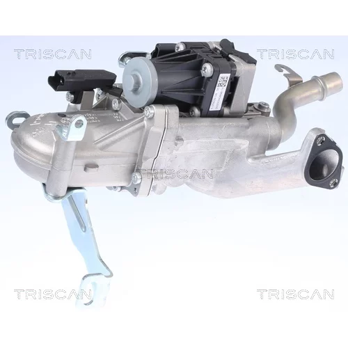 EGR ventil 8813 10106 /TRISCAN/ - obr. 2