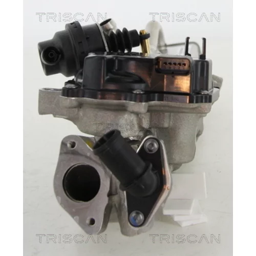 EGR ventil 8813 10203 /TRISCAN/ - obr. 1