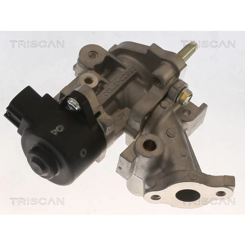 EGR ventil TRISCAN 8813 13067