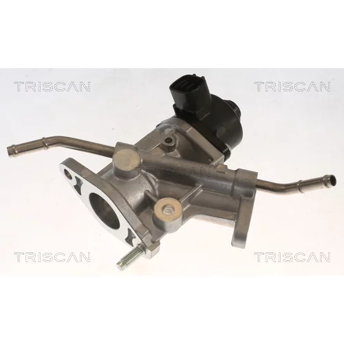 EGR ventil TRISCAN 8813 13068