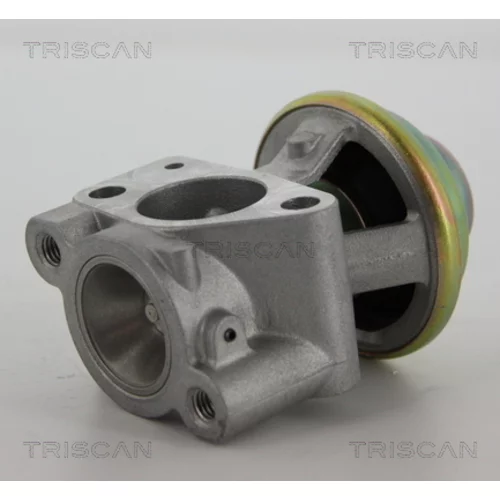 EGR ventil TRISCAN 8813 15040
