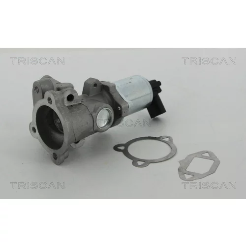 EGR ventil 8813 15052 /TRISCAN/