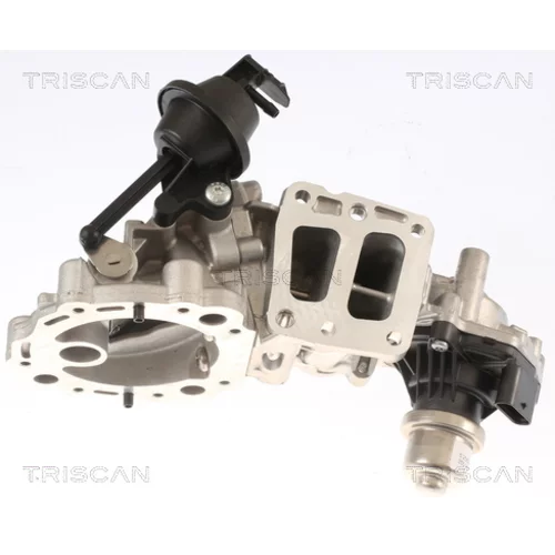 EGR ventil 8813 16001 /TRISCAN/ - obr. 2