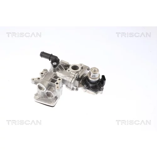 EGR ventil TRISCAN 8813 16005