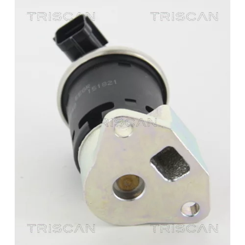 EGR ventil 8813 21004 /TRISCAN/ - obr. 2