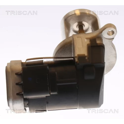 EGR ventil 8813 23101 /TRISCAN/ - obr. 3
