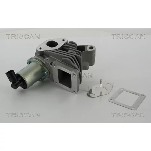 EGR ventil 8813 25100 /TRISCAN/ - obr. 2