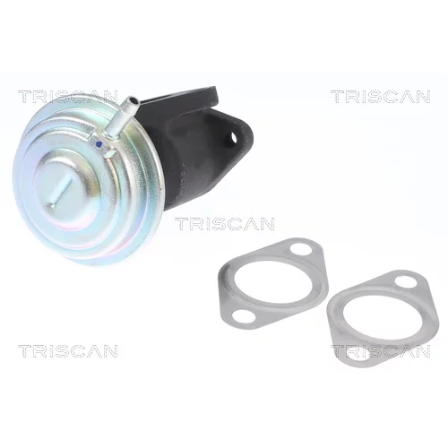 EGR ventil TRISCAN 8813 29016