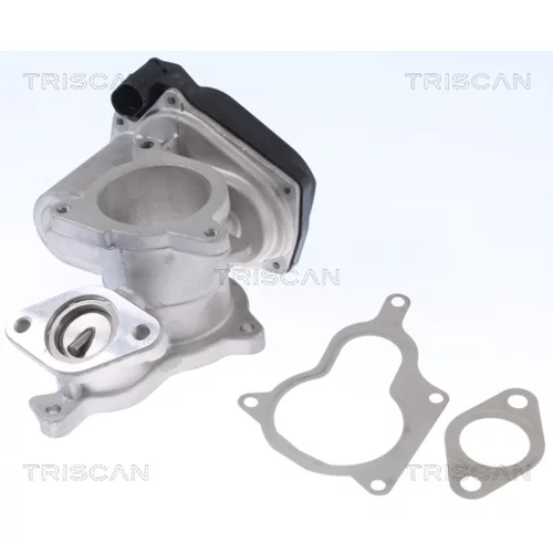 EGR ventil TRISCAN 8813 29019