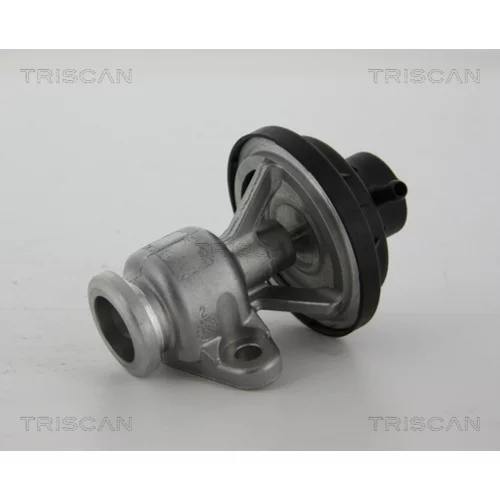 EGR ventil 8813 29034 /TRISCAN/ - obr. 1