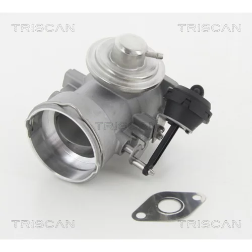 EGR ventil 8813 29056 /TRISCAN/ - obr. 1