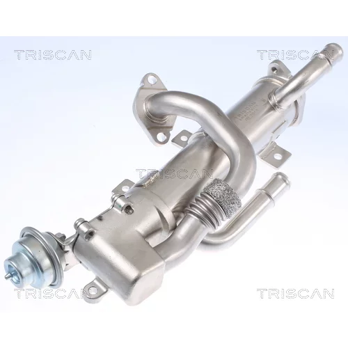 Chladič pre recirkuláciu plynov 8813 29333 /TRISCAN/ - obr. 1