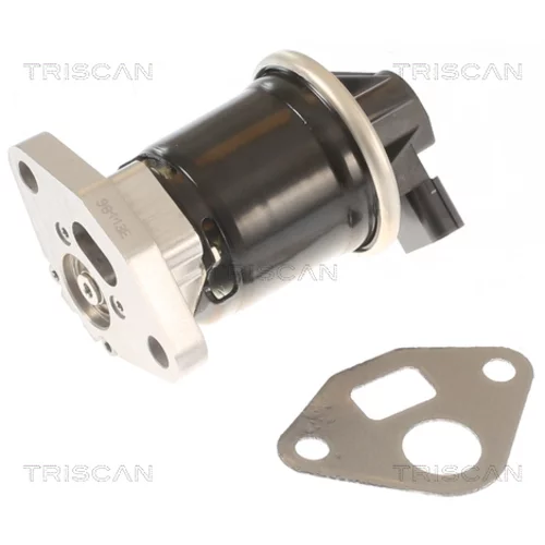 EGR ventil TRISCAN 8813 40002