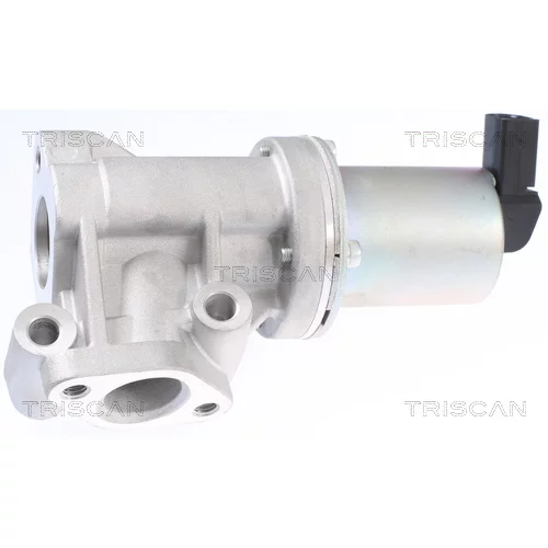 EGR ventil 8813 43009 /TRISCAN/ - obr. 2