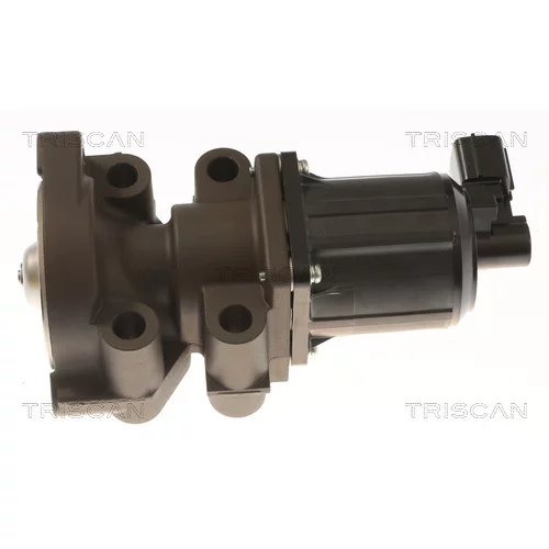 EGR ventil TRISCAN 8813 43055