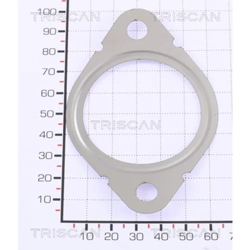 Tesnenie 8813 99127 /TRISCAN/