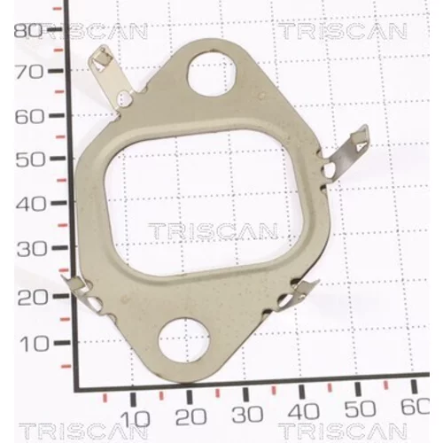 Tesnenie TRISCAN 8813 99196