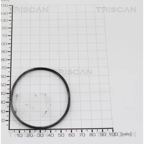 Tesnenie TRISCAN 8813 997