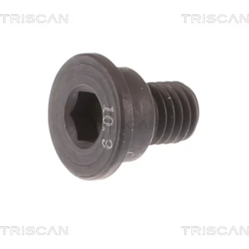 Skrutka brzdového kotúča TRISCAN 8105 11662