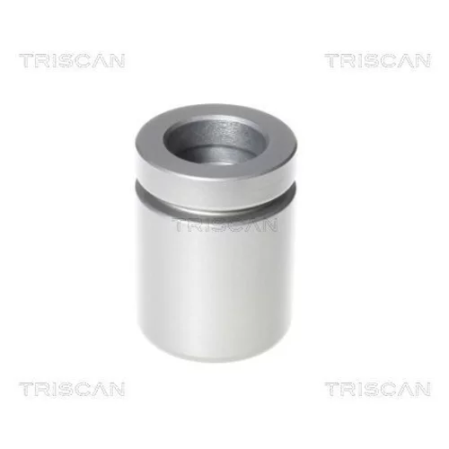 Piest brzdového strmeňa 8170 234234 /TRISCAN/