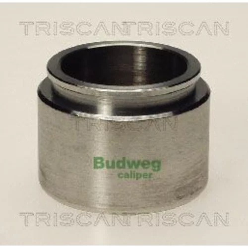 Piest brzdového strmeňa 8170 234403 /TRISCAN/