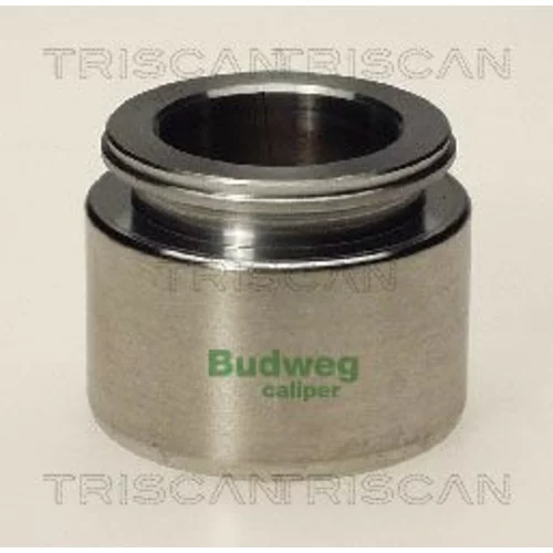 Piest brzdového strmeňa 8170 234411 /TRISCAN/