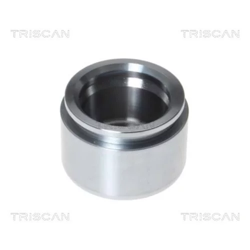 Piest brzdového strmeňa 8170 234531 /TRISCAN/