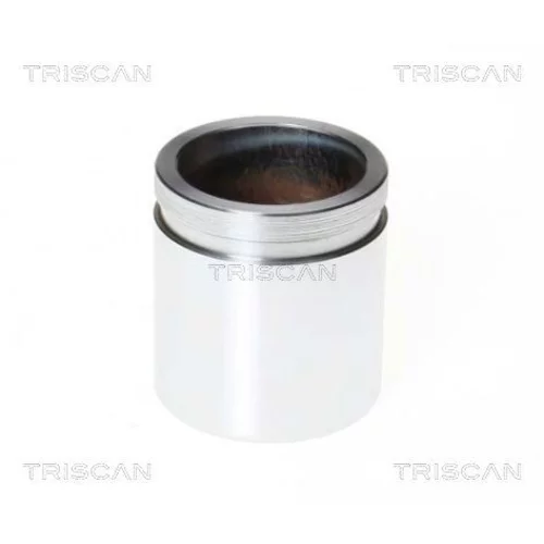 Piest brzdového strmeňa 8170 234532 /TRISCAN/