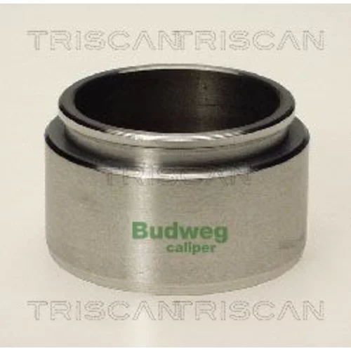 Piest brzdového strmeňa 8170 234801 /TRISCAN/