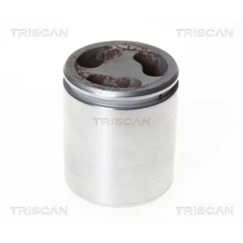 Piest brzdového strmeňa 8170 235210 /TRISCAN/