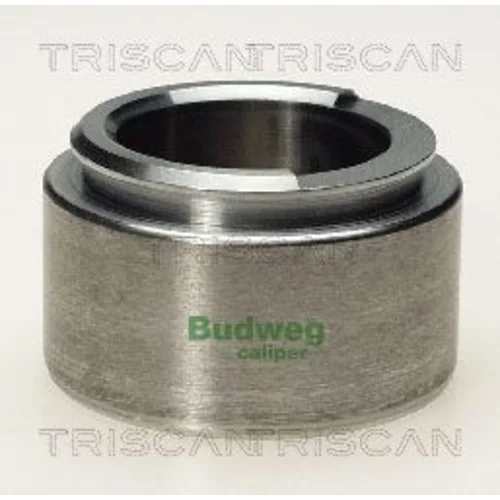 Piest brzdového strmeňa 8170 235407 /TRISCAN/