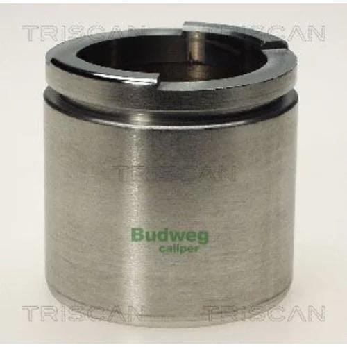 Piest brzdového strmeňa 8170 235460 /TRISCAN/
