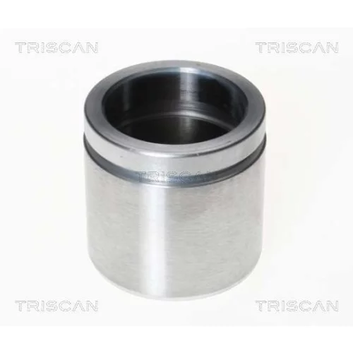Piest brzdového strmeňa 8170 235742 /TRISCAN/