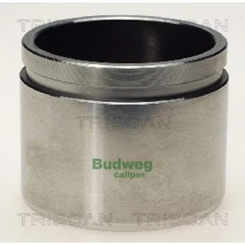 Piest brzdového strmeňa 8170 236014 /TRISCAN/