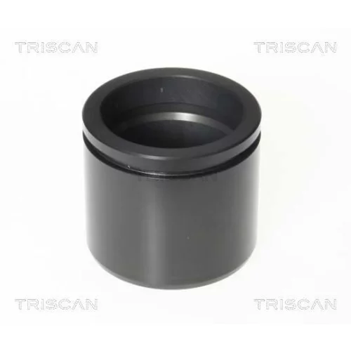 Piest brzdového strmeňa 8170 236052 /TRISCAN/