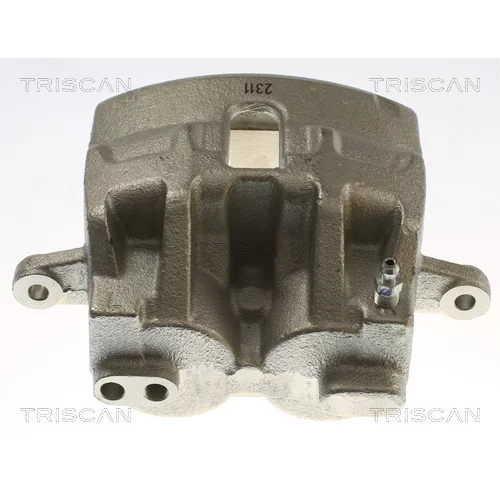 Brzdový strmeň 8175 17105 /TRISCAN/ - obr. 1