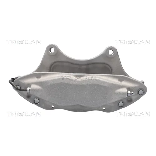 Brzdový strmeň 8175 81101 /TRISCAN/ - obr. 1