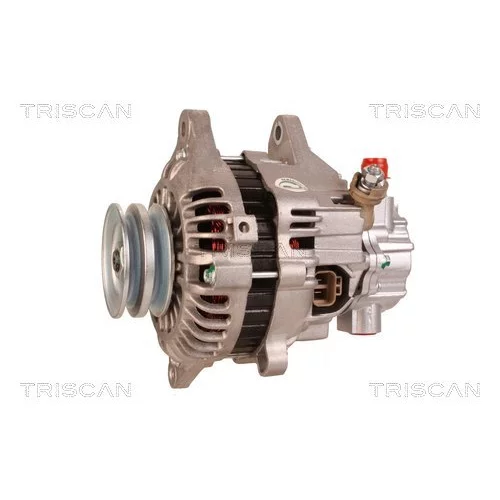 Alternátor 8310 10009 /TRISCAN/ - obr. 6