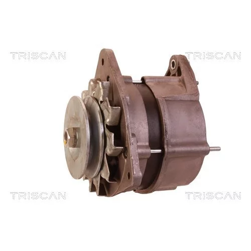 Alternátor 8310 10010 /TRISCAN/ - obr. 6