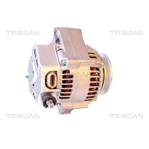 Alternátor 8310 10017 /TRISCAN/ - obr. 2