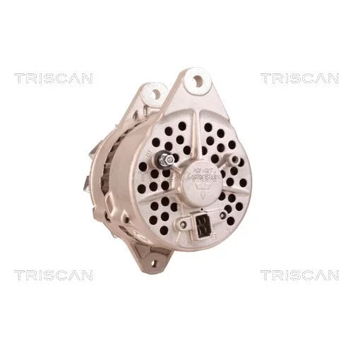 Alternátor 8310 10035 /TRISCAN/ - obr. 3