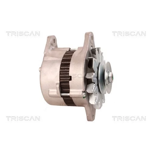 Alternátor 8310 10035 /TRISCAN/ - obr. 6