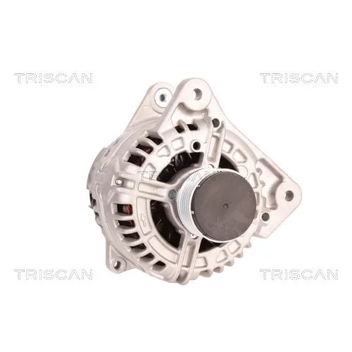 Alternátor 8310 10040 /TRISCAN/ - obr. 4