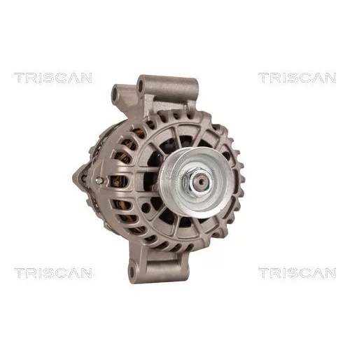 Alternátor 8310 10048 /TRISCAN/ - obr. 4